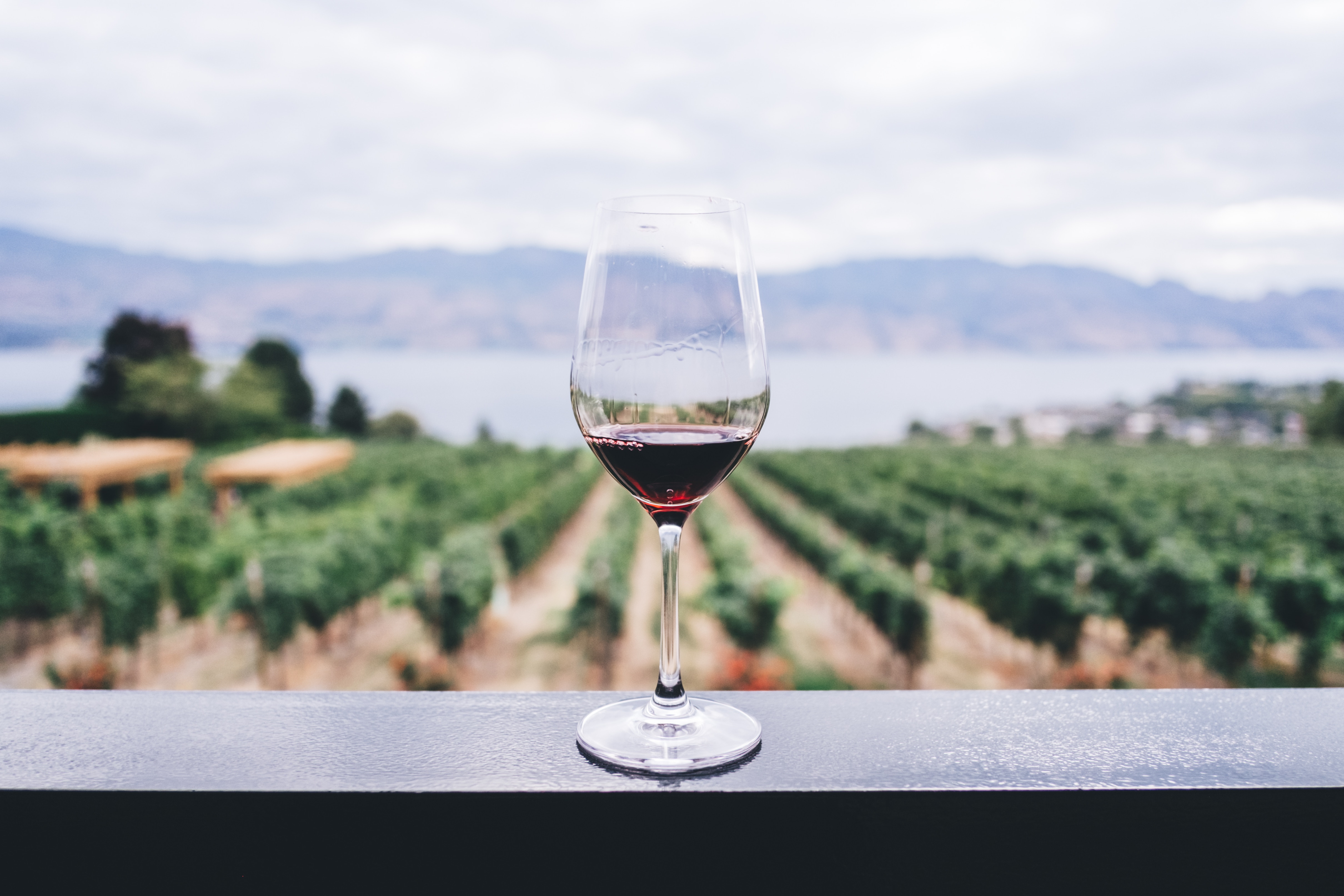 Vinsmagning T-Å